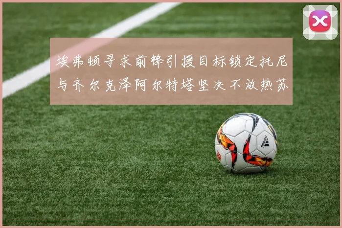 埃弗顿寻求前锋引援目标锁定托尼与齐尔克泽阿尔特塔坚决不放热苏斯