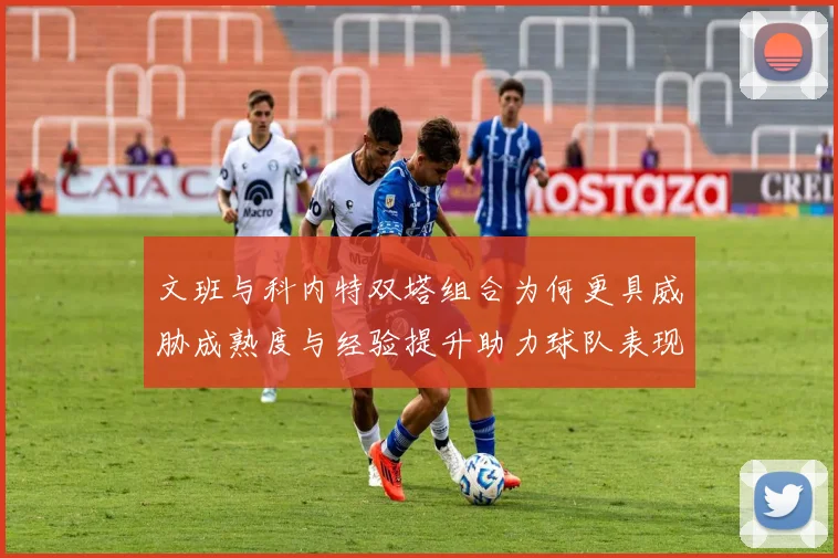 文班与科内特双塔组合为何更具威胁成熟度与经验提升助力球队表现