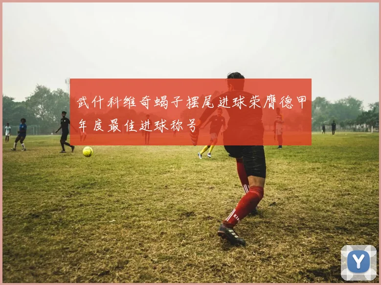 武什科维奇蝎子摆尾进球荣膺德甲年度最佳进球称号