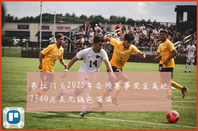 弗拉门戈2025年各项赛事奖金高达7540万美元钱包满满